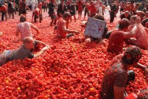 La Tomatina Bu Ol Programaci N Oficial Fiestas Espa A