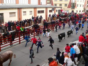 canaval del toro 2017, carnaval ciudad rodrigo, fiestas españa