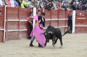 canaval del toro 2017, carnaval ciudad rodrigo, fiestas españa