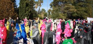 Carnaval de Cehegín