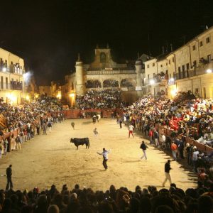 canaval del toro 2017, carnaval ciudad rodrigo, fiestas españa
