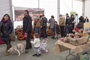 fiestas san jose, astillero, fiestas españa