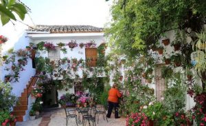 Cruces de Mayo de Montoro