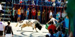 programa Fiestas de la Puríssima Xiqueta de Benissa
