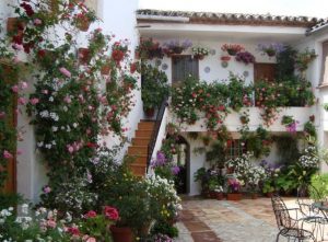 Patios y Fachadas de Montoro