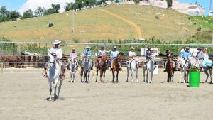 Feria y Fiestas de Cártama