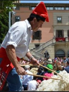 Festa Major de Ripoll