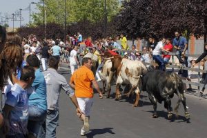 Fiestas San Pedro Regalao en Laguna del Duero