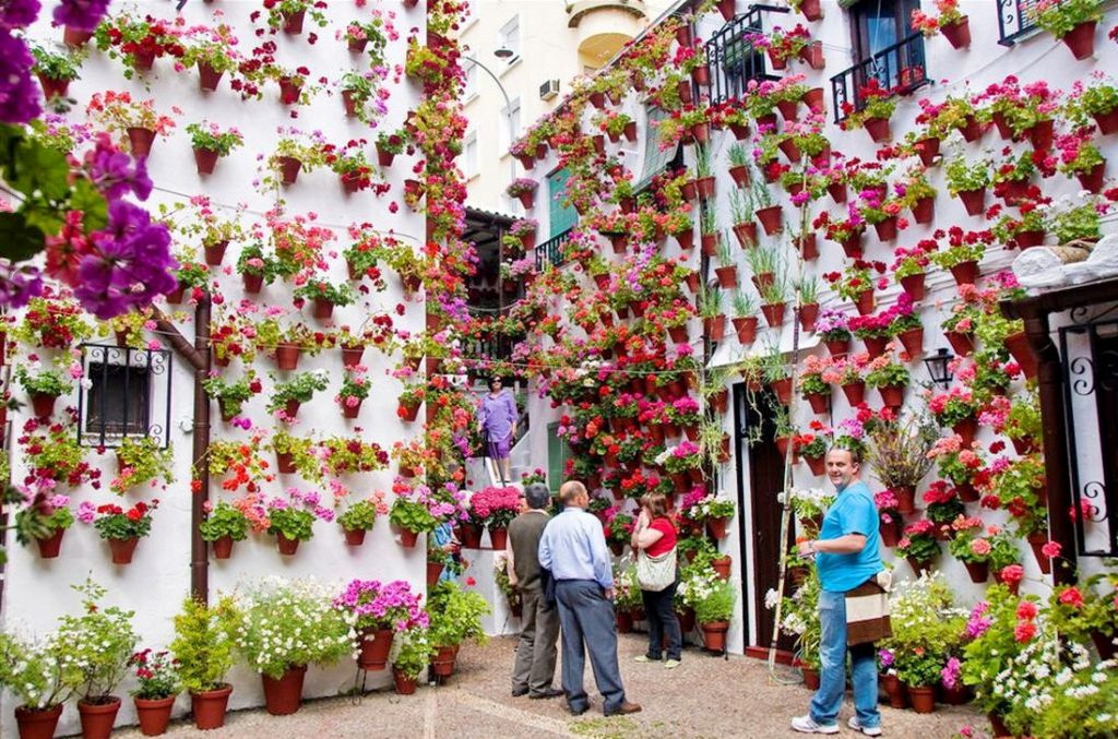 programa Festival de los Patios Cordobeses de Córdoba