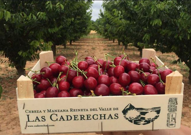 Feria de la Cereza del Valle de Caderechas