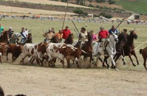 Fiestas Mayores de Fuentesaúco