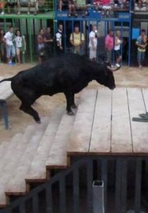 Fiestas Mayores de Sant Jordi
