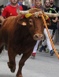 Fiesta del Torico de Chiva