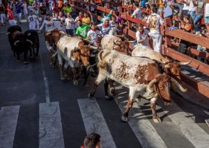 Fiestas y Encierros de San Sebastián de los Reyes