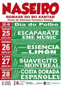 Romeria Do Naseiro de Viveiro