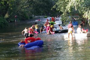 Romeria Do Naseiro de Viveiro