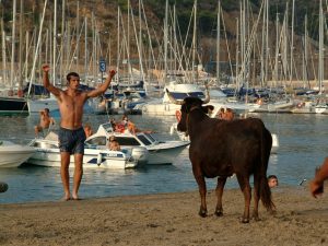 Fiestas Virgen de Loreto de Xábia
