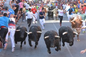 Fiestas y Encierros de San Sebastián de los Reyes