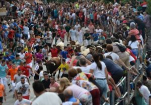 Feria y Fiestas de Calasparra