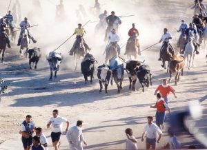 Feria y Fiestas San Antolín de Medina del Campo