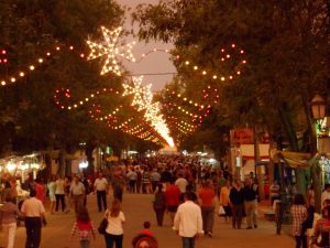 Feria y Fiestas de Consuegra