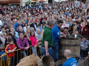 Fiesta de la Vendimia de Cangas del Narcea