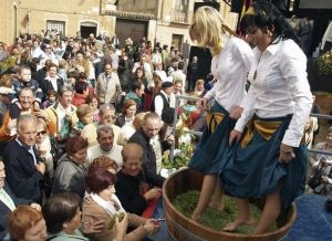 Fiesta de la Vendimia de Rueda