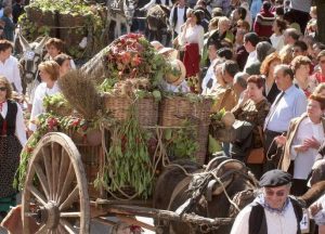 Fiesta de la Vendimia de Toro