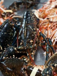 Fiesta del Marisco de O Grove