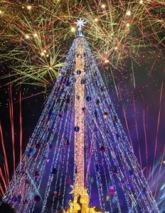 Fiesta Navidad La Unión