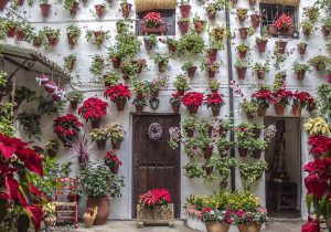 Fiesta de los Patios de Córdoba en Navidad