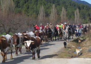 Fiestas en Honor a Santa Bárbara en Benizar