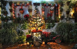 Fiesta de los Patios de Córdoba en Navidad