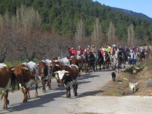 Fiestas en Honor a Santa Bárbara en Benizar