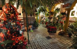 Fiesta de los Patios de Córdoba en Navidad