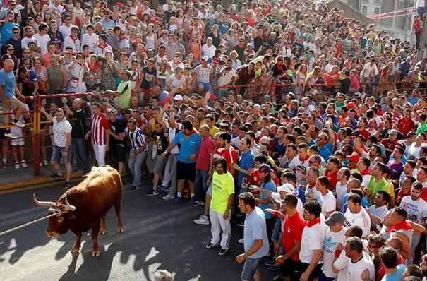Fiestas del Toro Enmaromado de Benavente