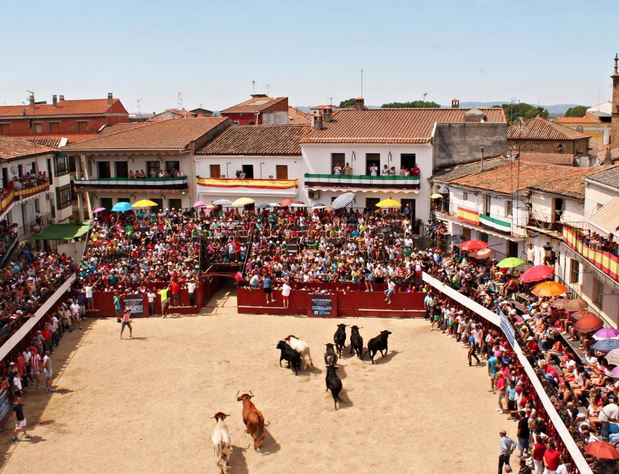 Fiestas San Buenaventura de Moraleja