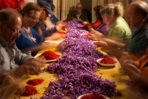 Fiesta de la Rosa del Azafrán de Consuegra