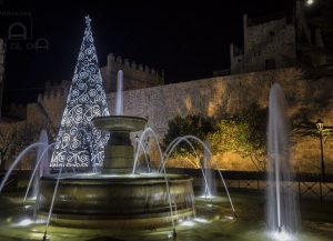 Fiesta Navidad Ávila