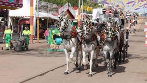 LAS 14 MEJORES FIESTAS DE ANDALUCÍA