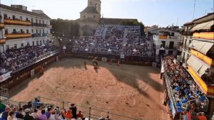 FIESTAS DE ARGANDA DEL REY