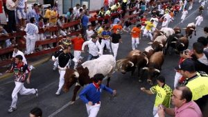 FIESTAS Y ENCIERROS DE SAN SEBASTIÁN DE LOS REYES