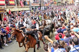 La Entrada de Toros y Caballos de Segorbe