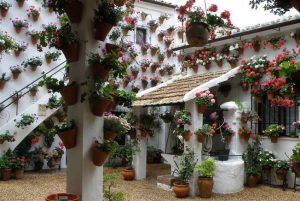 FESTIVAL DE LOS PATIOS CORDOBESES